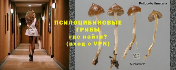 мескалин Корсаков