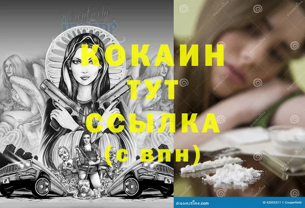 дурь Коряжма