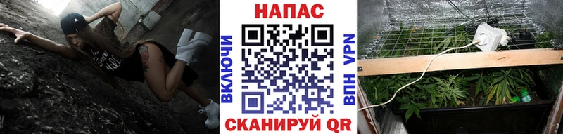 Каннабис ГИДРОПОН  Кяхта 